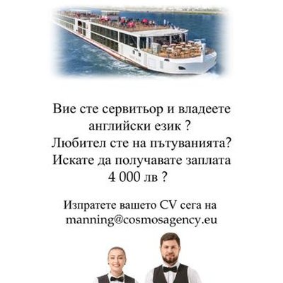 restaurant-waiter-chef-de-rang-wanted-job-offer-image