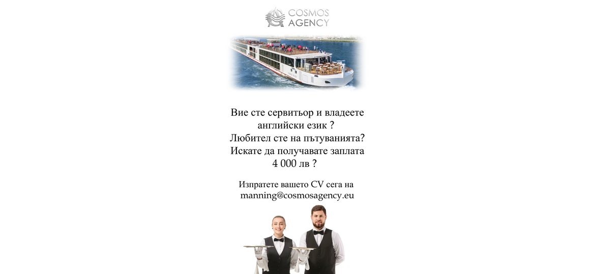 restaurant-waiter-chef-de-rang-wanted-job-offer-image